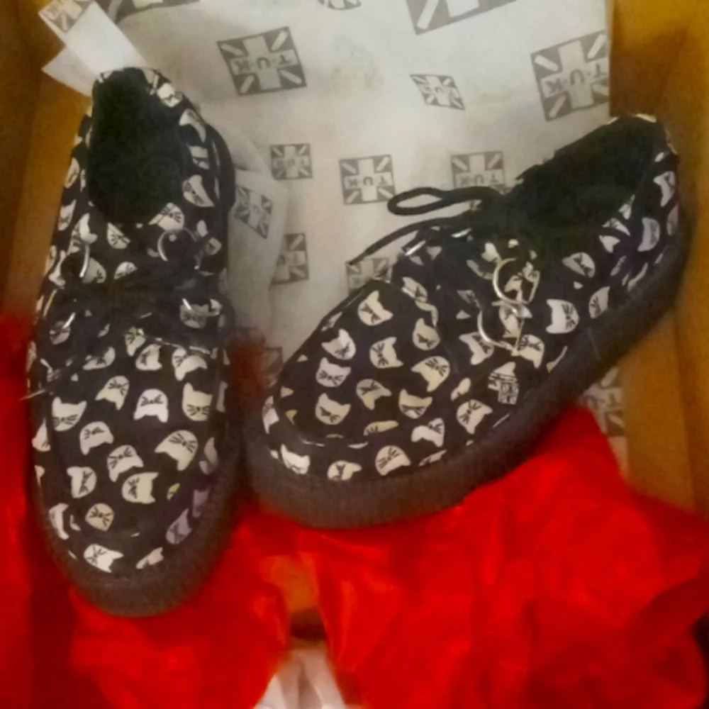 T.u.k. Kitten Creeper - Picture 2 of 4